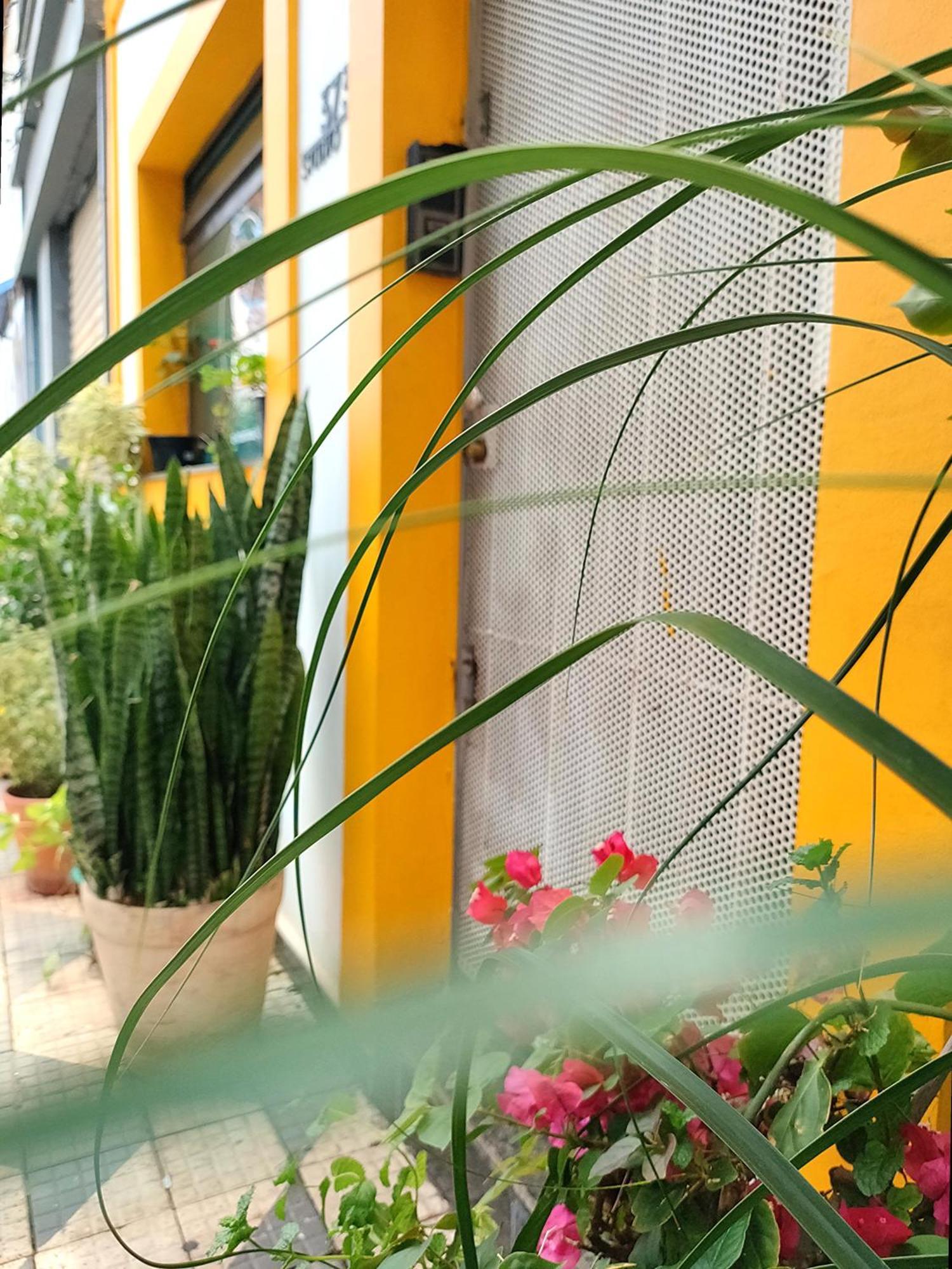 Casa 373 - Hospedaria Vila Mariana - Valores Acessiveis São Paulo Eksteriør billede